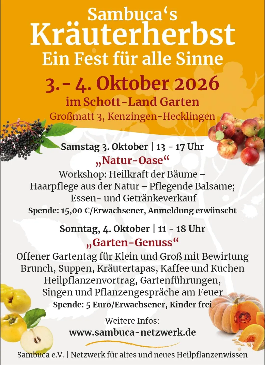 Eine Blüte der Wegwarte am Rande eines Feldes in Forchheim. In dieser Region gibt es regelmäßig ein Haarschnitt in der Natur.